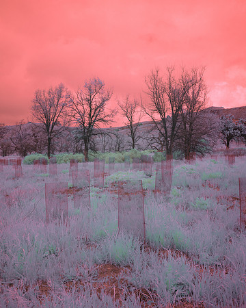 Cheseboro Canyon, CA