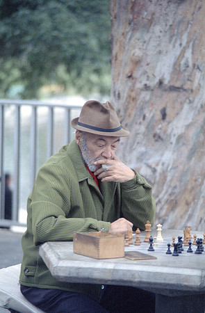 Chess Player