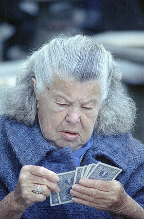 Card Shark