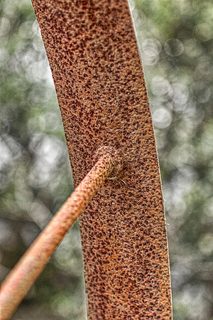 Wheel