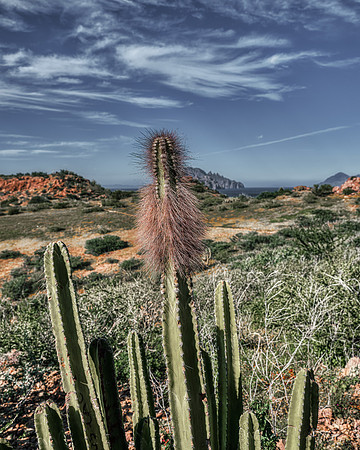 Loreto, Baja California