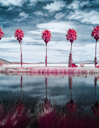 Zzyzx, CA