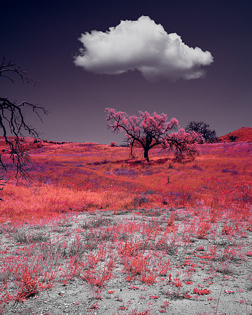 Cheseboro Canyon, CA