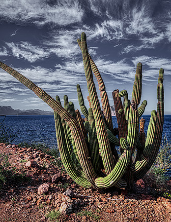 Loreto, Baja California
